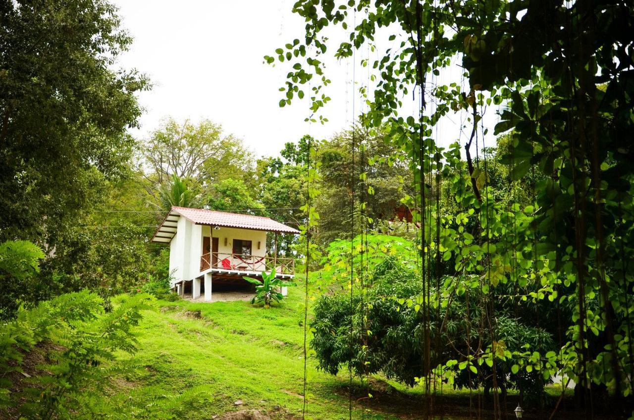 Istmo Beach And Jungle Bungalows San Carlos Buitenkant foto