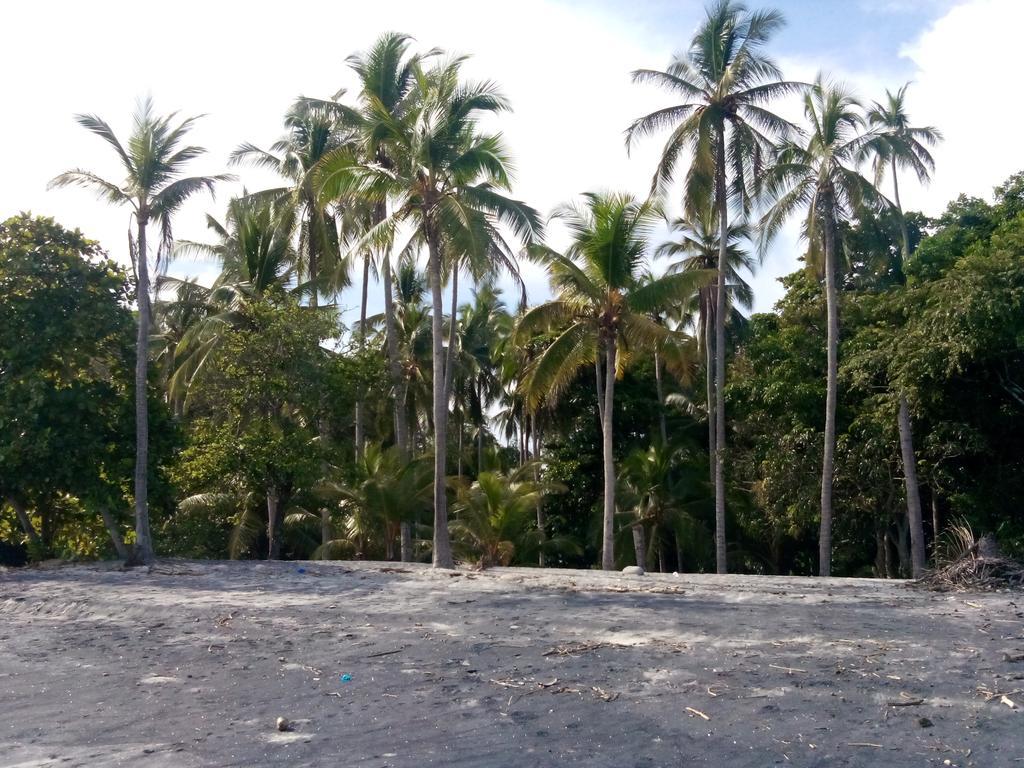 Istmo Beach And Jungle Bungalows San Carlos Buitenkant foto