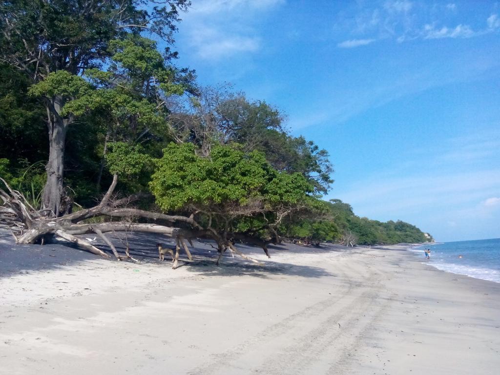 Istmo Beach And Jungle Bungalows San Carlos Buitenkant foto