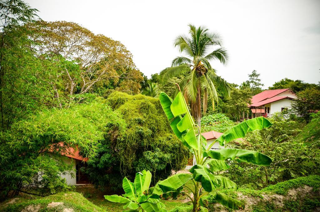 Istmo Beach And Jungle Bungalows San Carlos Buitenkant foto