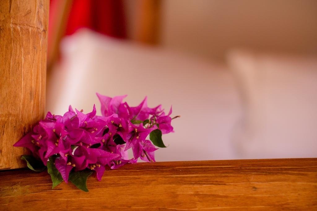 Istmo Beach And Jungle Bungalows San Carlos Kamer foto