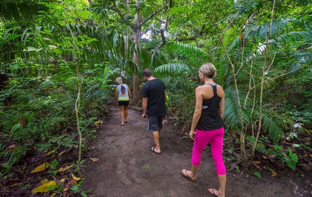 Istmo Beach And Jungle Bungalows San Carlos Buitenkant foto