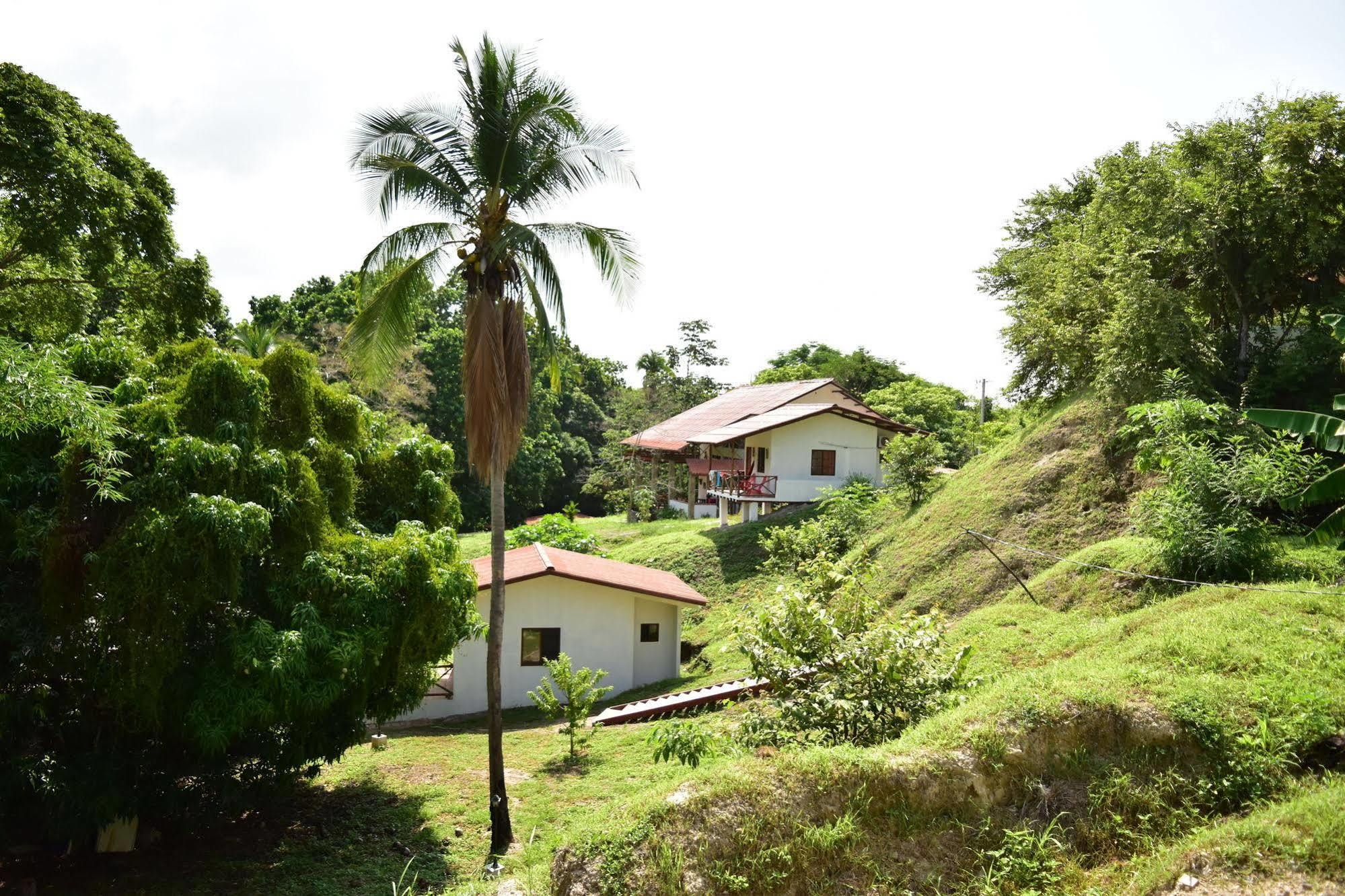 Istmo Beach And Jungle Bungalows San Carlos Buitenkant foto